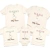 One Silly Goose Birthday Party Shirts - Matching Family Goose Tees